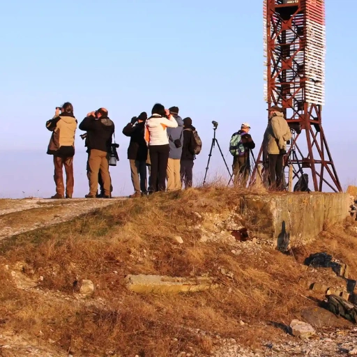 birdwatching tour estonia