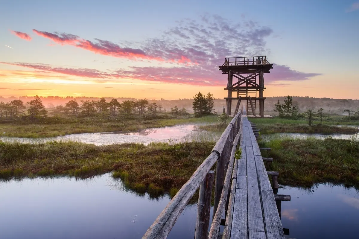 bog activity activest trip tobg giuded tours