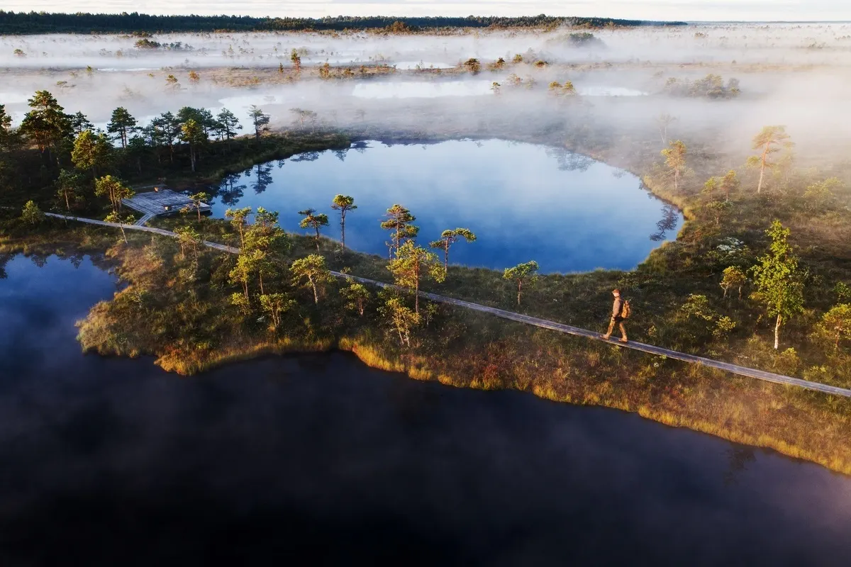hiking trips in bog in estonia activest