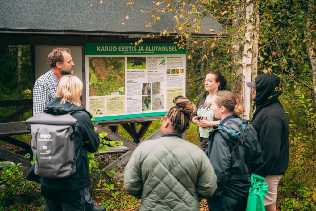 bear hu in estonia wildlife watching